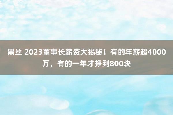 黑丝 2023董事长薪资大揭秘！有的年薪超4000万，有的一年才挣到800块