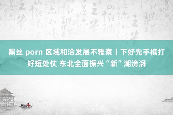 黑丝 porn 区域和洽发展不雅察丨下好先手棋打好短处仗 东北全面振兴“新”潮滂湃