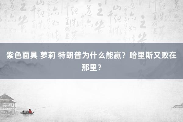 紫色面具 萝莉 特朗普为什么能赢？哈里斯又败在那里？